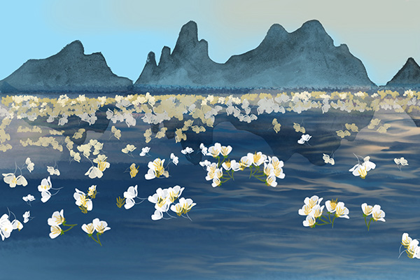 海茄子是什么，海茄子是什么参（植物中的环境观测员——海菜花）