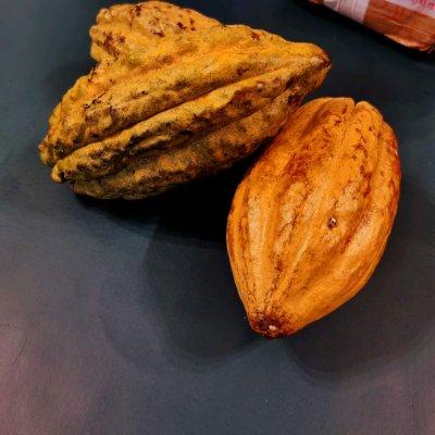 巧克力怎么做才好吃，巧克力怎么做才好吃窍门（自制巧克力）