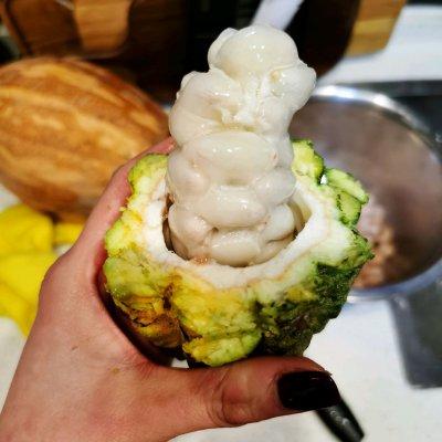 巧克力怎么做才好吃，巧克力怎么做才好吃窍门（自制巧克力）