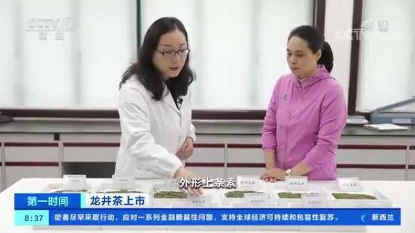 龙井茶产地，正宗的西湖龙井茶多少钱一斤（同一产地，价格为啥差1倍）