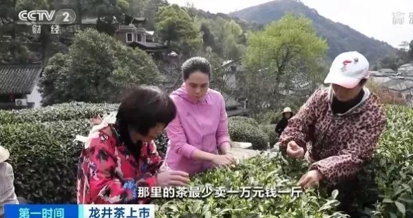 龙井茶产地，正宗的西湖龙井茶多少钱一斤（同一产地，价格为啥差1倍）