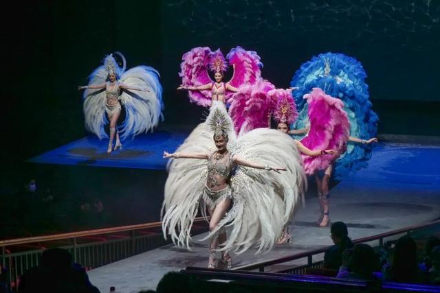 宋城千古情演出演什么，千古情宋城演出时间（宋城《上海千古情》将这样演绎上海的“前生今世”）