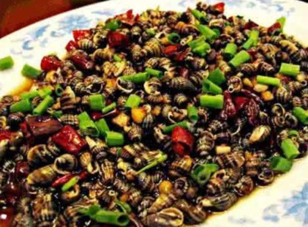 螺的种类和图片，螺的种类图片及名称（福建这种螺千万别吃）