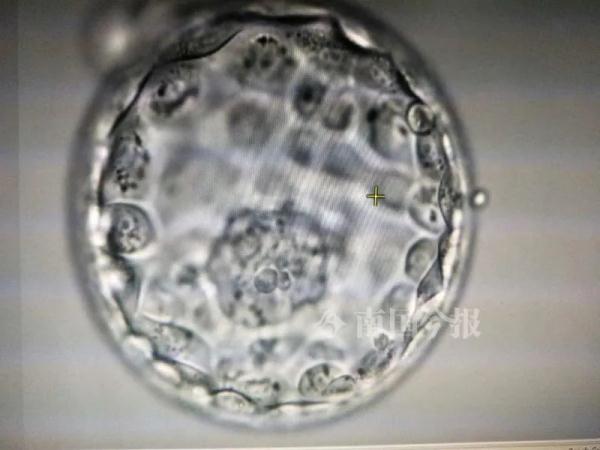 半斤等于多少两，按汉朝制度半斤等于多少两（47岁妈妈移植19年前冷冻胚胎）