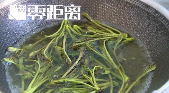 吃香椿的好处和禁忌，香椿不能这样吃！容易中毒