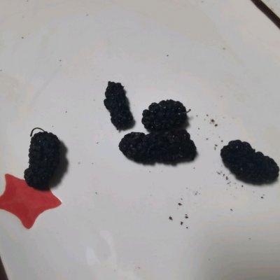 果茶制作方法，新鲜水果茶的做法大全（#糖小朵甜蜜控糖秘籍#自制水果茶）