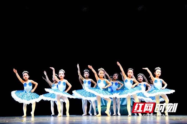 海外桃李杯，桃李杯含金量高吗（海外桃李杯·第十一届国际舞蹈展演湖南赛区总展演活动举行）