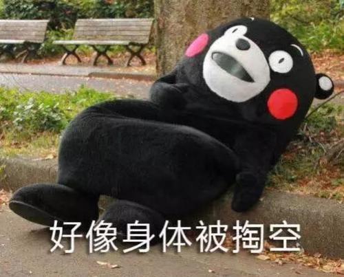 没精打采的意思，没精打采的采字的意思是什么（一课译词：无精打采）