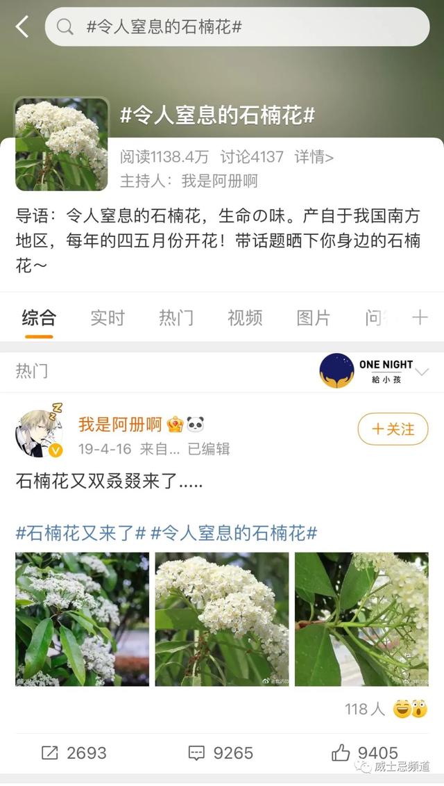 石楠花为什么叫最污花，红石楠花为什么叫最污花（但苏格兰威士忌里的石楠是否就是那传说中不可描述的气味）