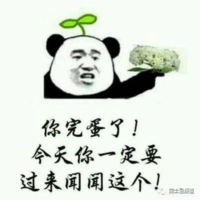 石楠花为什么叫最污花，红石楠花为什么叫最污花（但苏格兰威士忌里的石楠是否就是那传说中不可描述的气味）