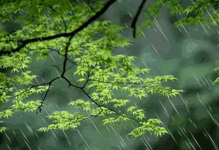 什么样的春雨(一阵什么的春雨)插图(3)