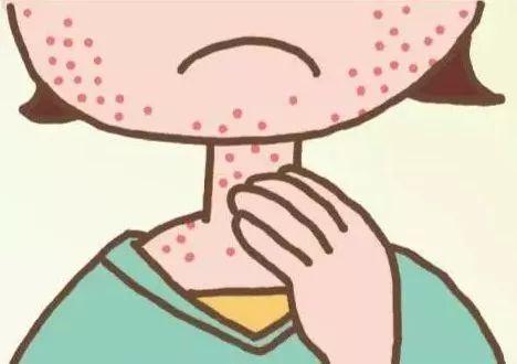 干鱼腥草煮水的功效,干鱼腥草煮水的副作用(这里有一份食补方子)