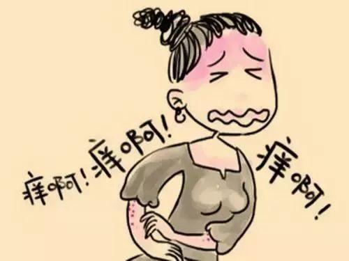 干鱼腥草煮水的功效,干鱼腥草煮水的副作用(这里有一份食补方子)