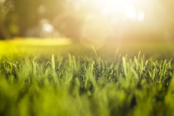 一个既一个旦念什么，一个既一个旦念什么意思（十个比喻，说透人生）