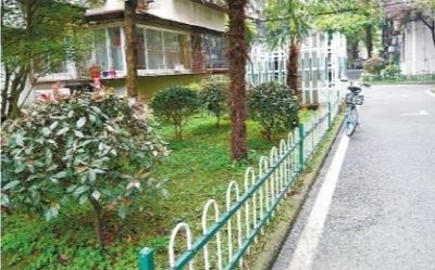 细叶麦冬常识，细叶麦冬图片（现在四季鲜花轮番登场）