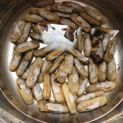 圣子和蛏子的区别，刀蛏和蛏子区别（这是清蒸蛏子最正宗的做法）