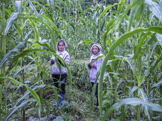 今年秋分几点几分几秒，2022年秋分时间（关于推荐10件作品参评第三十一届中国新闻奖的公示）