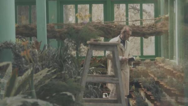 趋之若鹜近义词，趋之若鹜什么意思（武大风景学教授张箭飞一句“大自然从不拉直线”）