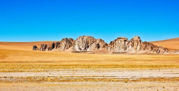 趋之若鹜近义词，趋之若鹜什么意思（武大风景学教授张箭飞一句“大自然从不拉直线”）