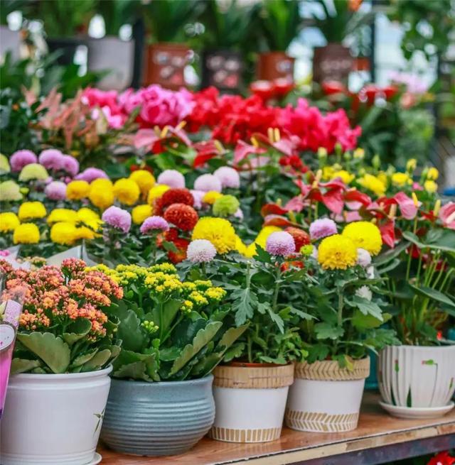 西安鲜花批发基地图片