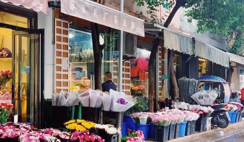 西安花鸟市场(北京最大的花鸟市场)