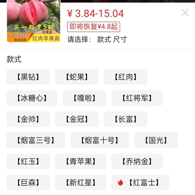 海棠果树苗多少钱一棵，海棠果树多少钱一颗（调查丨网店售卖假苗木生意）