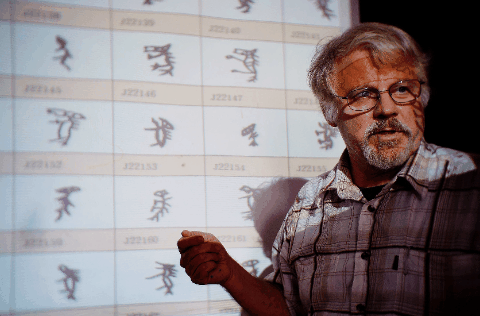 杨花落尽子规啼是什么季节，杨花落尽子规啼是什么时候（“谷雨”被联合国选中）