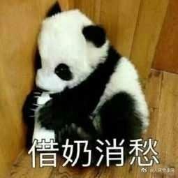 植物神经紊乱吃什么药，植物神经紊乱难受死了（失恋如果引发植物神经紊乱怎么办）