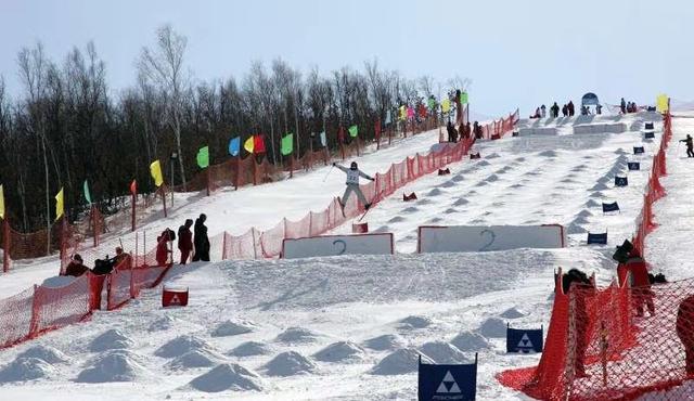 六月六看谷秀是啥意思，六月六看谷秀的意思是什么呢（大兴安岭：不存在的）