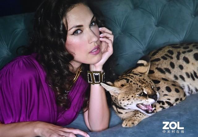 坚果墙怎么折，坚果墙是什么坚果（坚果智慧墙O1评测）