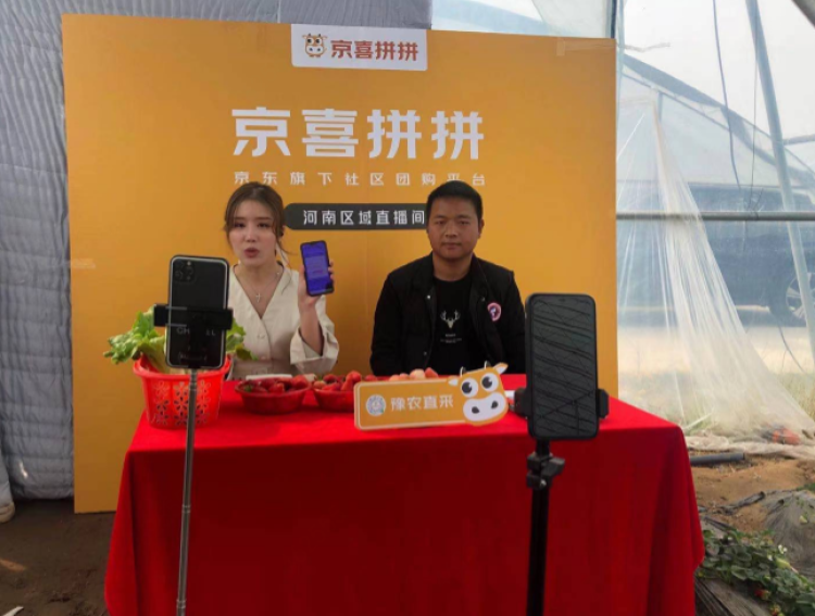 京东吉祥物(给京东做吉祥物的人叫啥)