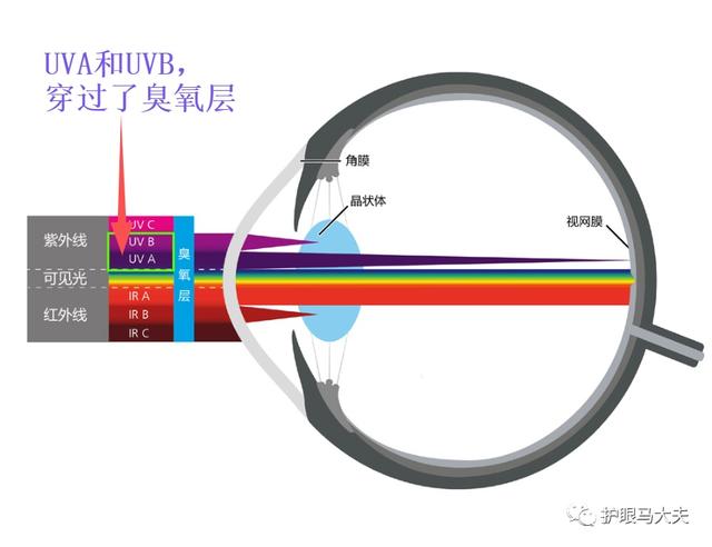 儿童太阳眼镜怎么选，儿童太阳镜的选择（夏天快到了，如何选太阳眼镜）