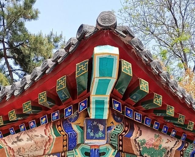 v1818a是什么手机，v1818a这款手机多少钱（A95评测：流畅体验）