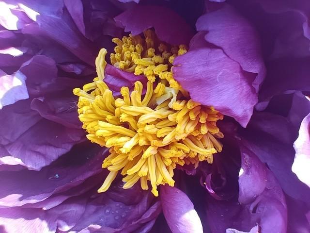 v1818a是什么手机，v1818a这款手机多少钱（A95评测：流畅体验）