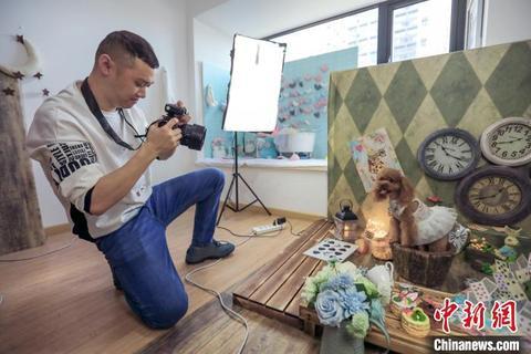 成都宠物网，用爱宠物之心定格美好记忆（成都宠物网红）