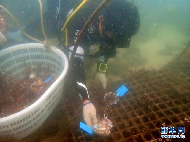 时事热点青年奋斗人物素材，2021高考作文素材（青春正当时——十位青年的追梦“交响曲”）