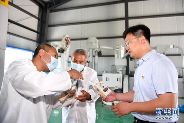 时事热点青年奋斗人物素材，2021高考作文素材（青春正当时——十位青年的追梦“交响曲”）