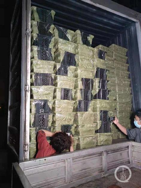 中通快递投诉最狠方式，中通快递要多久（中通快递回应“宠物盲盒”事件）