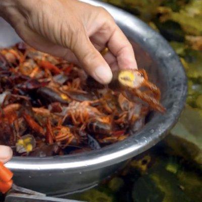 小龙虾过油要多长时间（蒜蓉小龙虾，赶紧学起来）