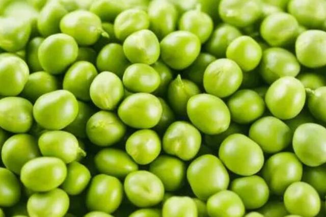 豌豆吃多了有副作用吗，澳洲bioisland乳钙副作用（春季养生不妨多吃这4种豆）