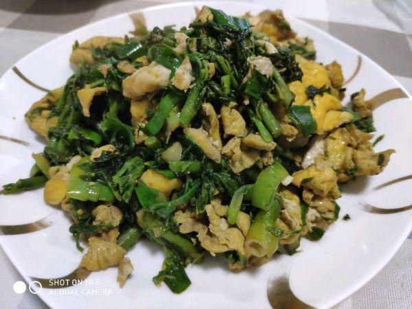 刺老芽怎样去除小窍门，刺老芽有刺怎么处理（一定要收藏的东北刺老芽炒鸡蛋）