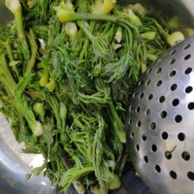 刺老芽怎样去除小窍门，刺老芽有刺怎么处理（一定要收藏的东北刺老芽炒鸡蛋）