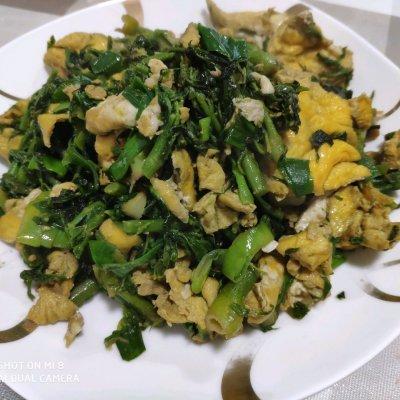 刺老芽怎样去除小窍门，刺老芽有刺怎么处理（一定要收藏的东北刺老芽炒鸡蛋）