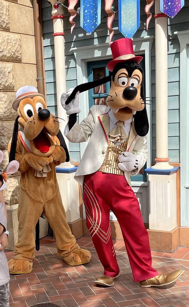 上海旅游攻略，上海旅游攻略五日游（5天4晚“小石头”疫情后出游——上海之旅全记录）