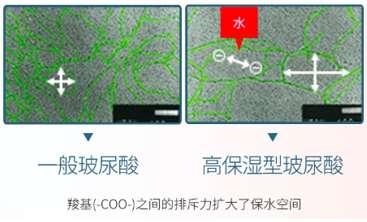基础护肤步骤，化妆品步骤的正确方法（容易被忽略的基础护肤才最重要）