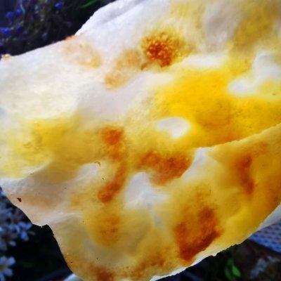 榴莲薄饼步骤，榴莲薄饼步骤图片（#以美食的名义说爱她#快手版‼️榴莲薄饼）