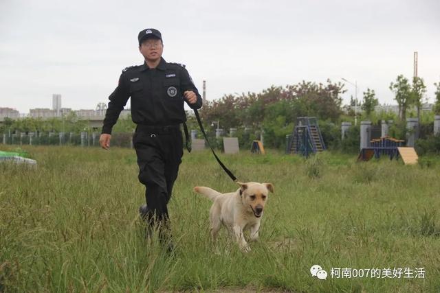 高中生社会实践活动，逐梦前行——青岛实验初中2020级10班社会实践活动实录