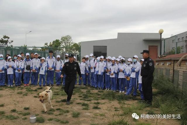 高中生社会实践活动，逐梦前行——青岛实验初中2020级10班社会实践活动实录