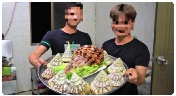 麻雀是国家二级保护动物吗，麻雀是益鸟还是害鸟（美食博主食用二级保护动物被刑拘）