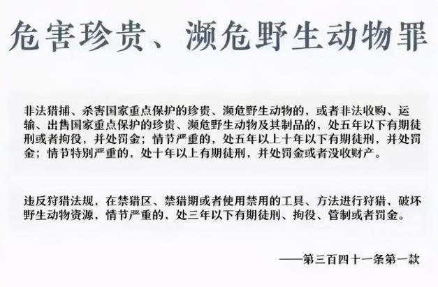 麻雀是国家二级保护动物吗，麻雀是益鸟还是害鸟（美食博主食用二级保护动物被刑拘）